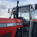 Massey Ferguson 365 Lo-Profile