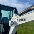 Bobcat E19