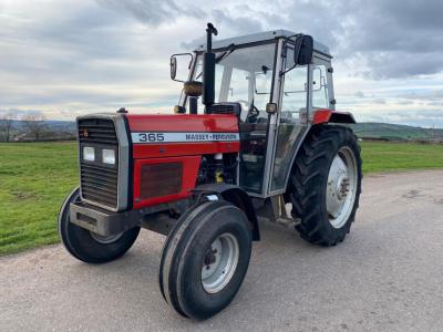 Massey Ferguson 365 Lo-Profile